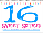 Sweet Sixteen 16 Journal Photo Diary Calendar